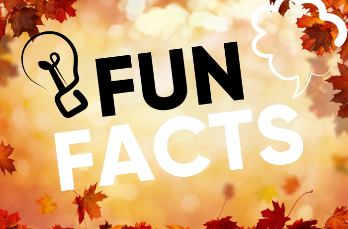 Fun Facts written over autumnal leaves