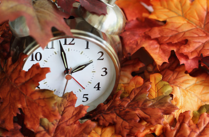 Alarm clock in autumnal leaves