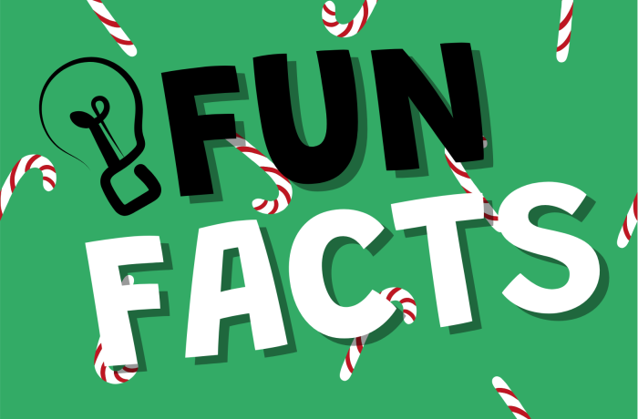 Fun facts written over green xmas background